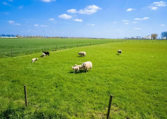 De Genderense Hoeve Dom wakacyjny
